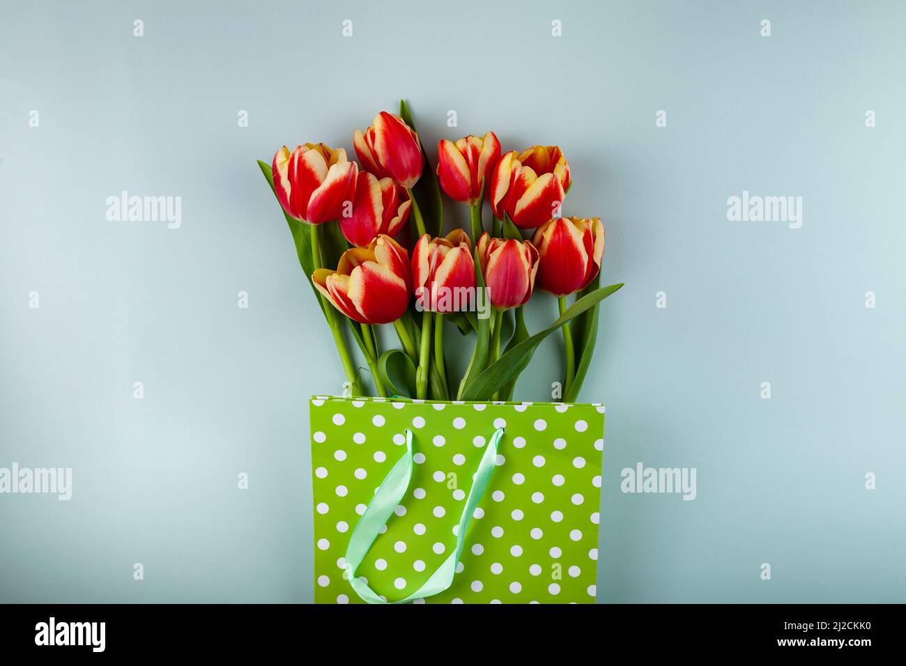 Flat lay composition with tulips in paper bag on green background Stock ...