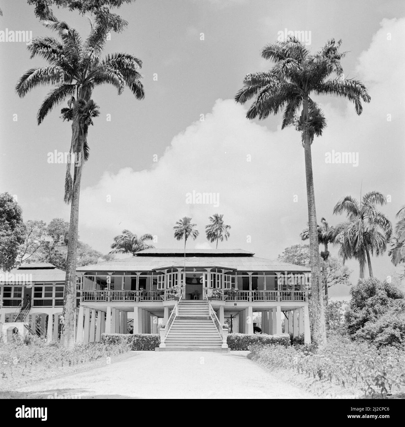 The director's house of the Mariënburg sugar factory ca. 1 October 1955