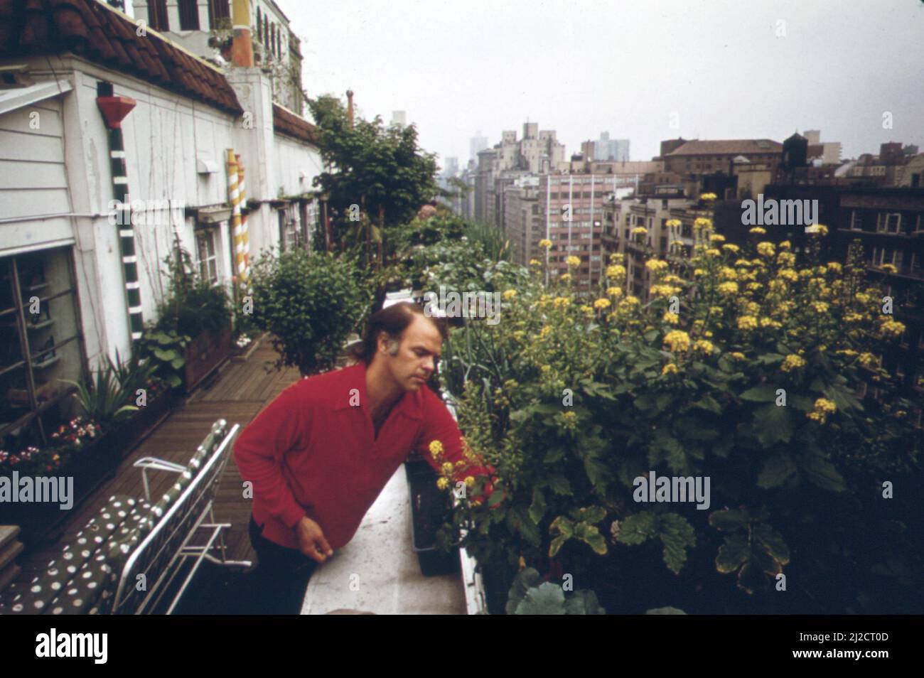 1970s penthouse garden hi-res stock photography and images - Alamy