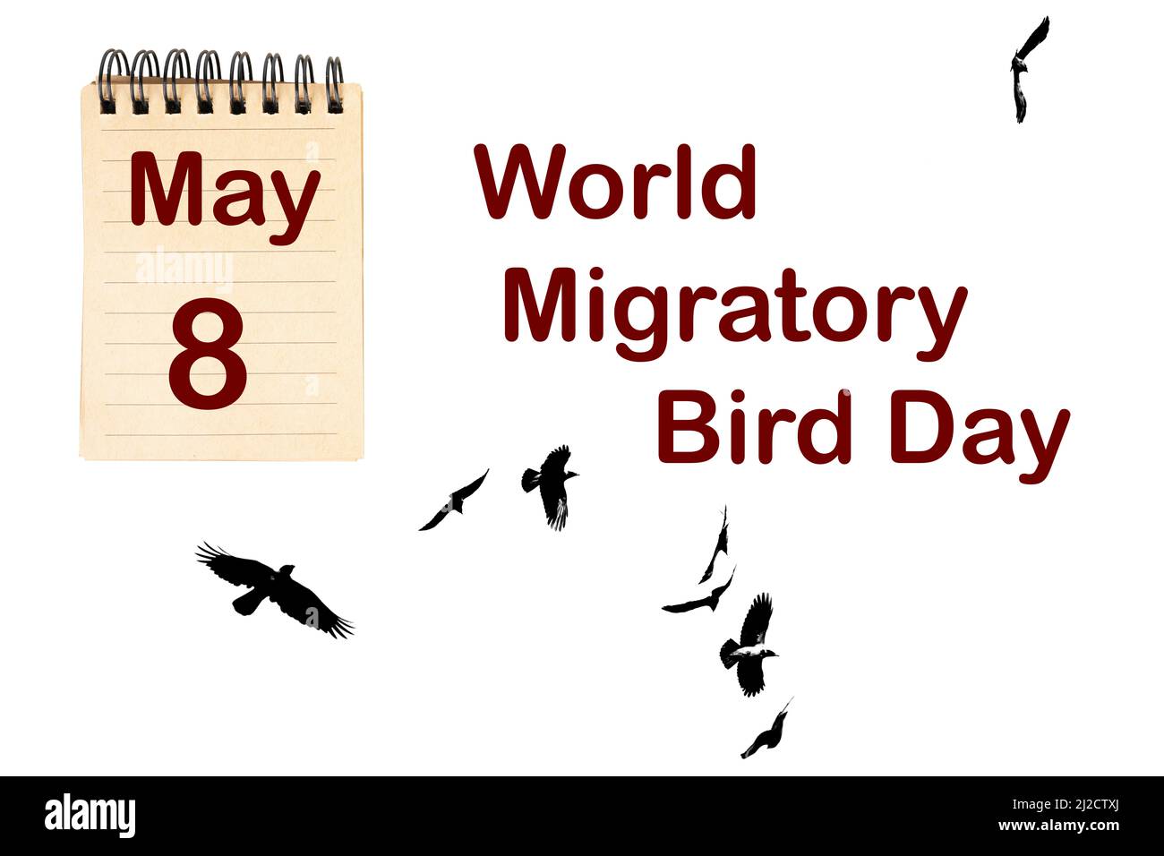 The celebration of the World Migratory Day the May 8 Stock Photo