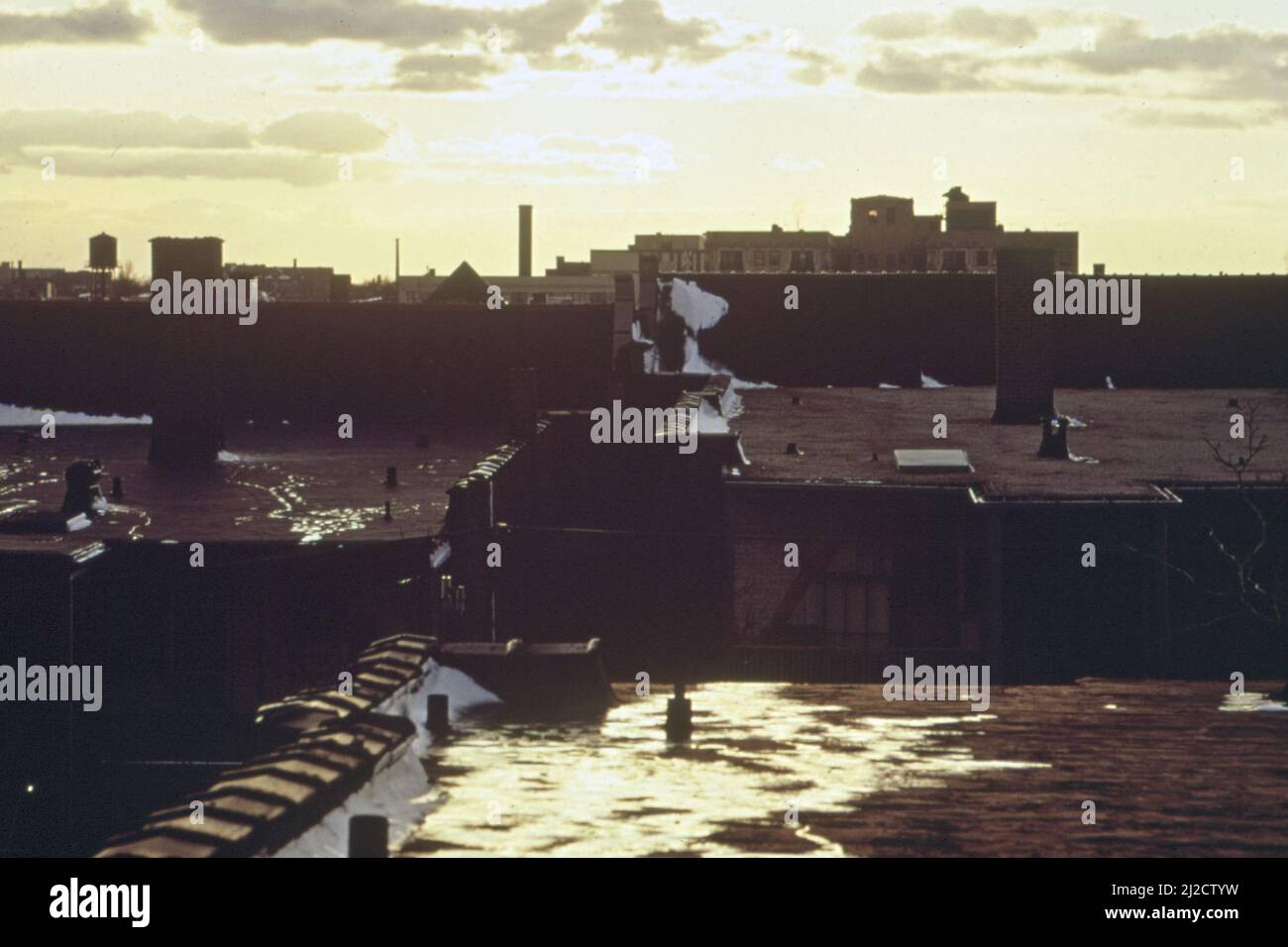 Rooftops on Chicago's north side ca. 1973 Stock Photo - Alamy