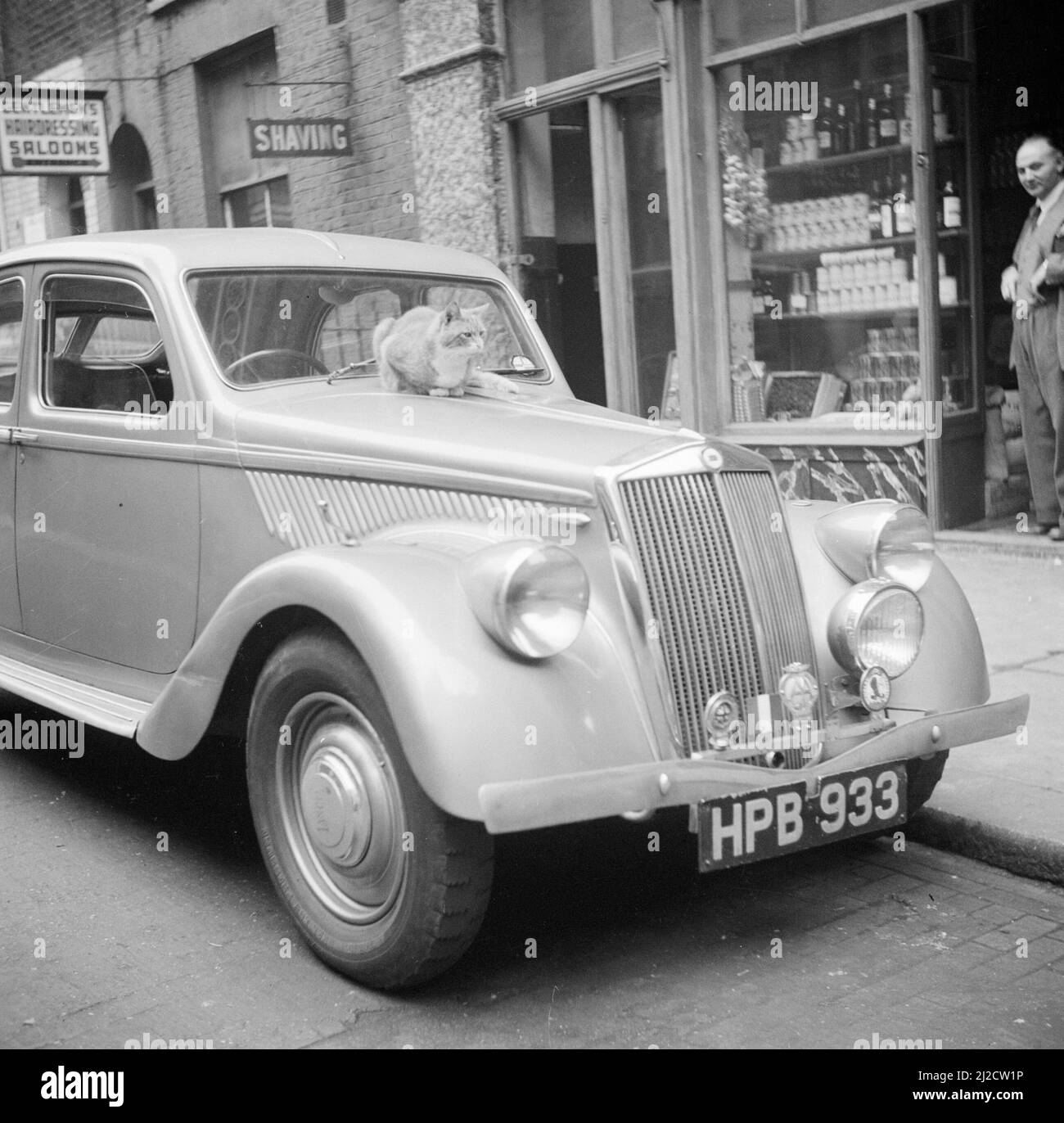 Cat on a luxury car in Soho ca: 1947 Stock Photo