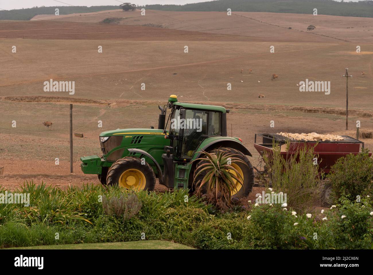 Caledon, Western Cape, South Africa. 2022. Green tractor and trailer
