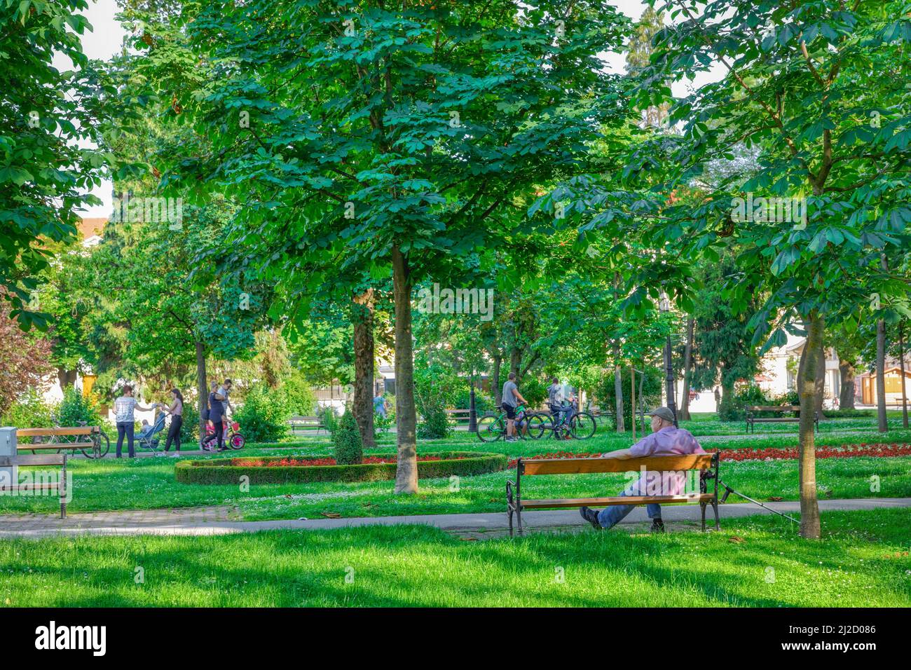 Bjelovar central park in town center Croatia Stock Photo