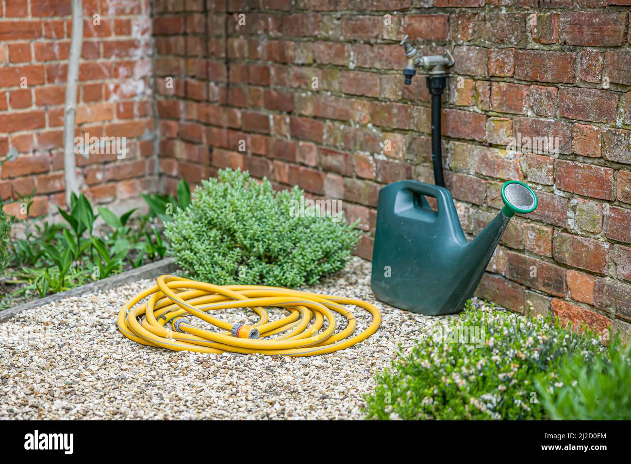 Watering can, garden hose (hosepipe) and outside tap in a UK back garden. Gardening scene Stock Photo