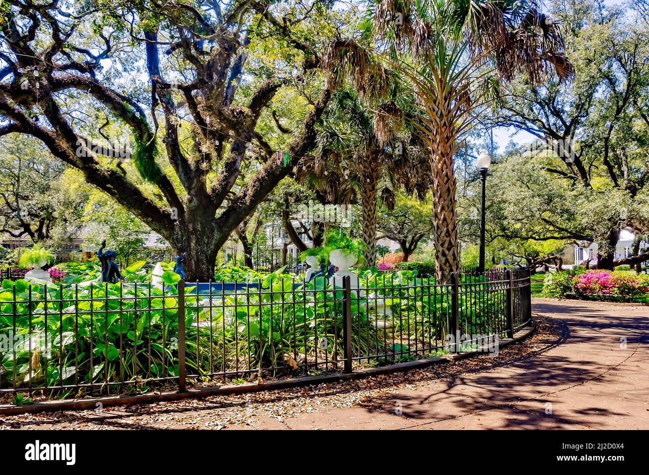 Live oak trees, azaleas, and other plants create a lush landscape in Washington Square, March 26, 2022, in Mobile, Alabama. Stock Photo