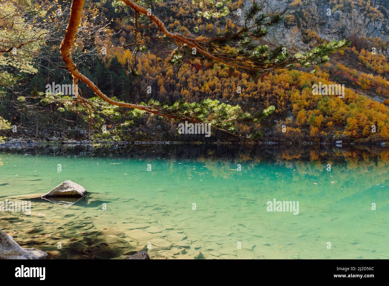 Lake with transparent water and colorful autumnal trees Stock Photo - Alamy