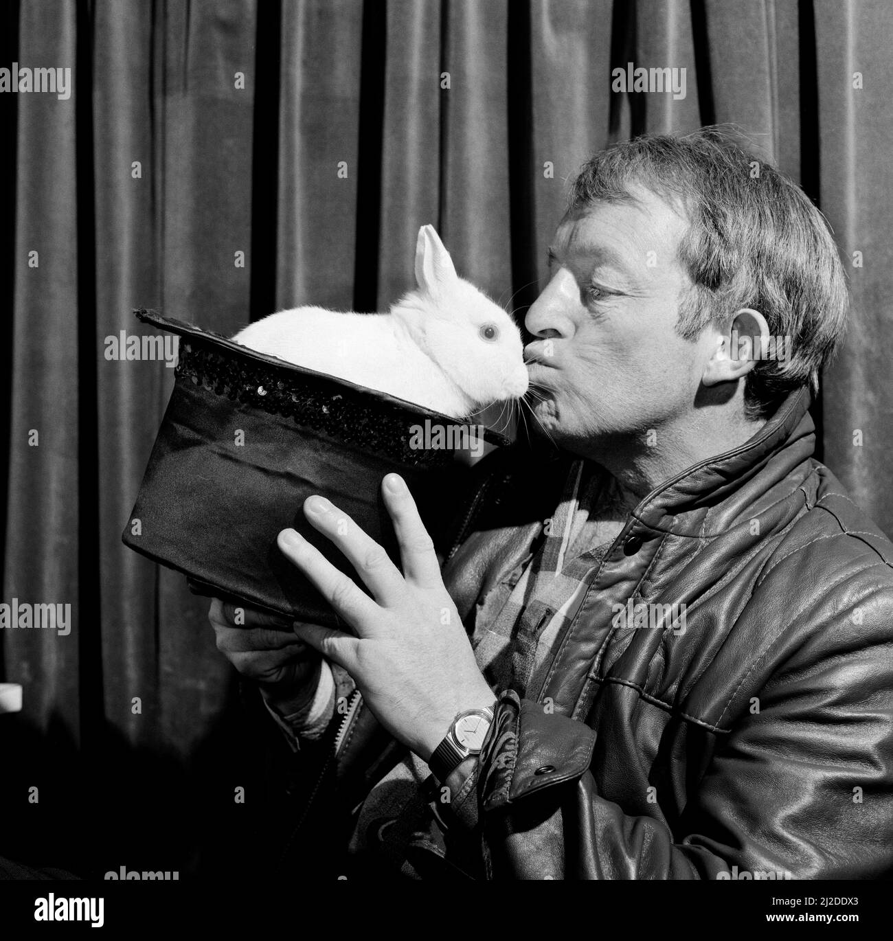 Paul Daniels with his pet rabbit Starsky. 27th November 1985 Stock ...