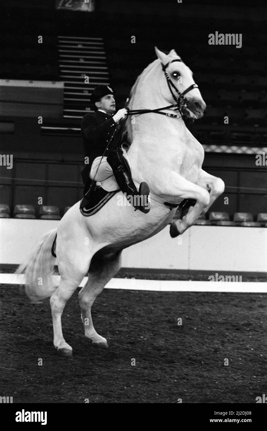 The Spanish Riding School of Vienna rehearsing their classical art of riding which they will be performing over the coming days at Wembley Arena. 16th October 1985. Stock Photo