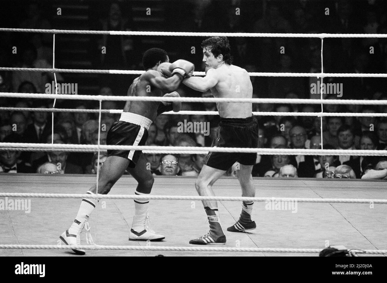 Barry McGuigan's second defence of his WBA title against Danilo Cabrera at  The Royal Dublin Society, Dublin, Ireland.McGuigan won by TKO in round  fourteen. (Picture shows) Boxers slugging it out. 15th February