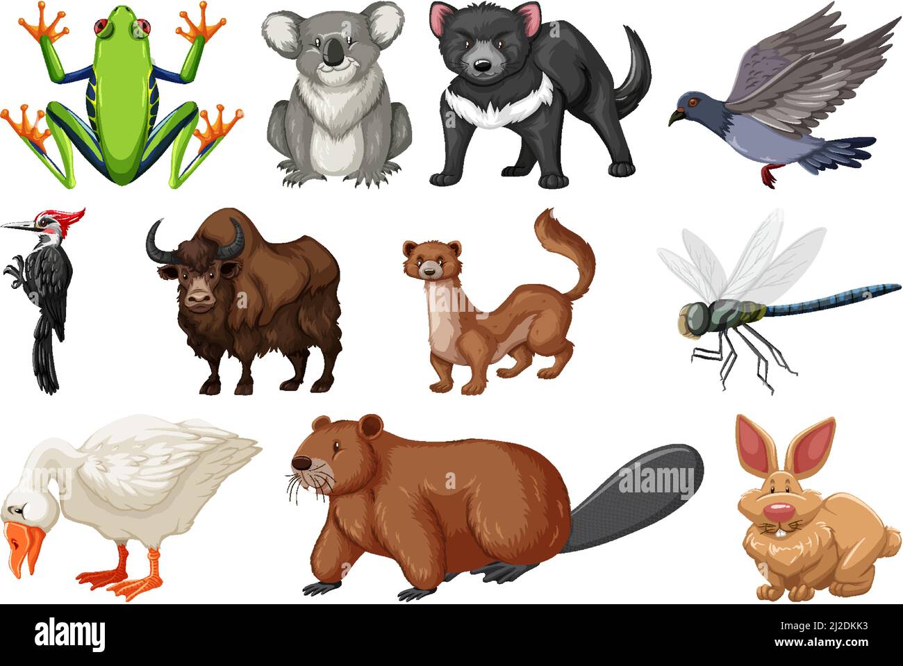 Different kinds of animals collection illustration Stock Vector Image ...