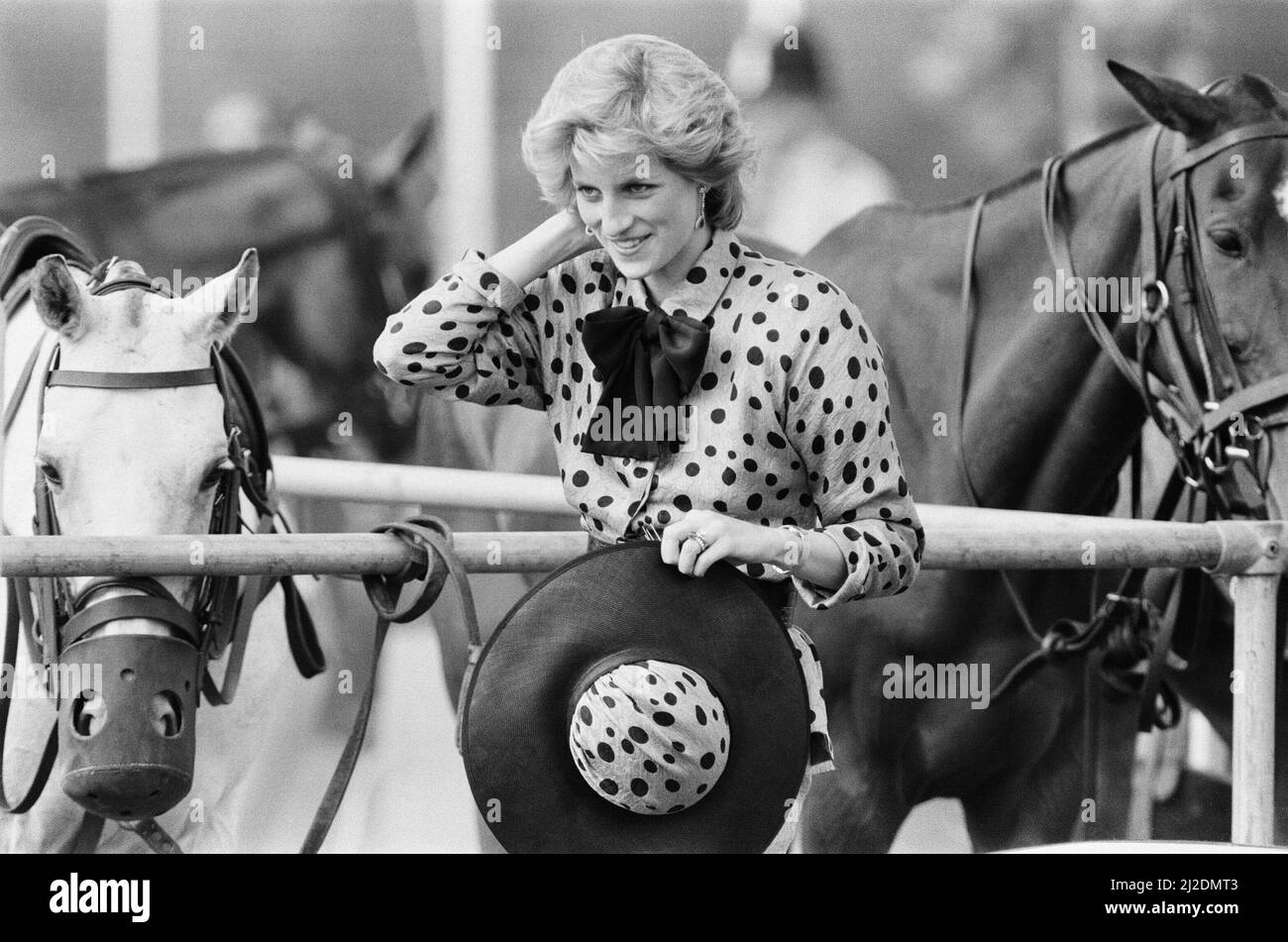 HRH The Princess of Wales, Princess Diana, watches Prince Charles playing Polo. Picture taken 19th June 1986 Stock Photo