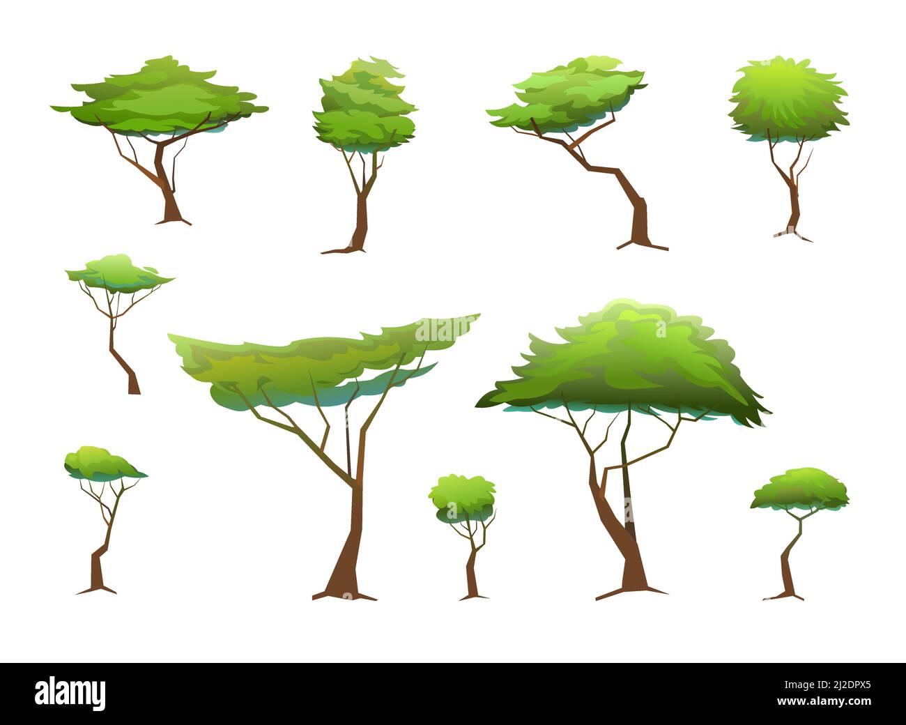 Acacia trees set. Africa savanna plants. African landscape. Isolated on white background. Vector. Stock Vector
