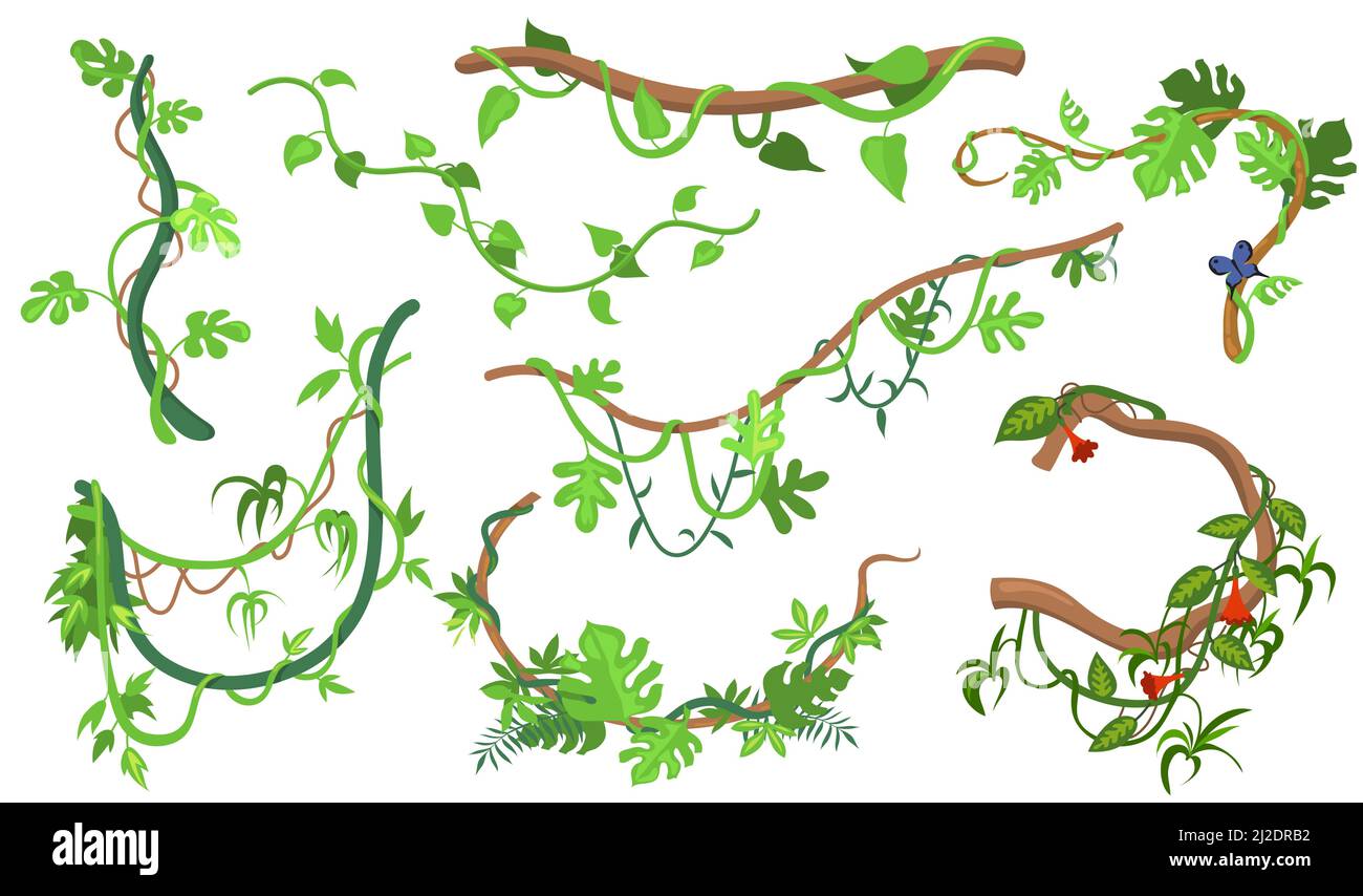 Colorful liana or jungle plant flat set for web design. Cartoon climbing twigs of tropical vines and trees isolated vector illustration collection. Ra Stock Vector