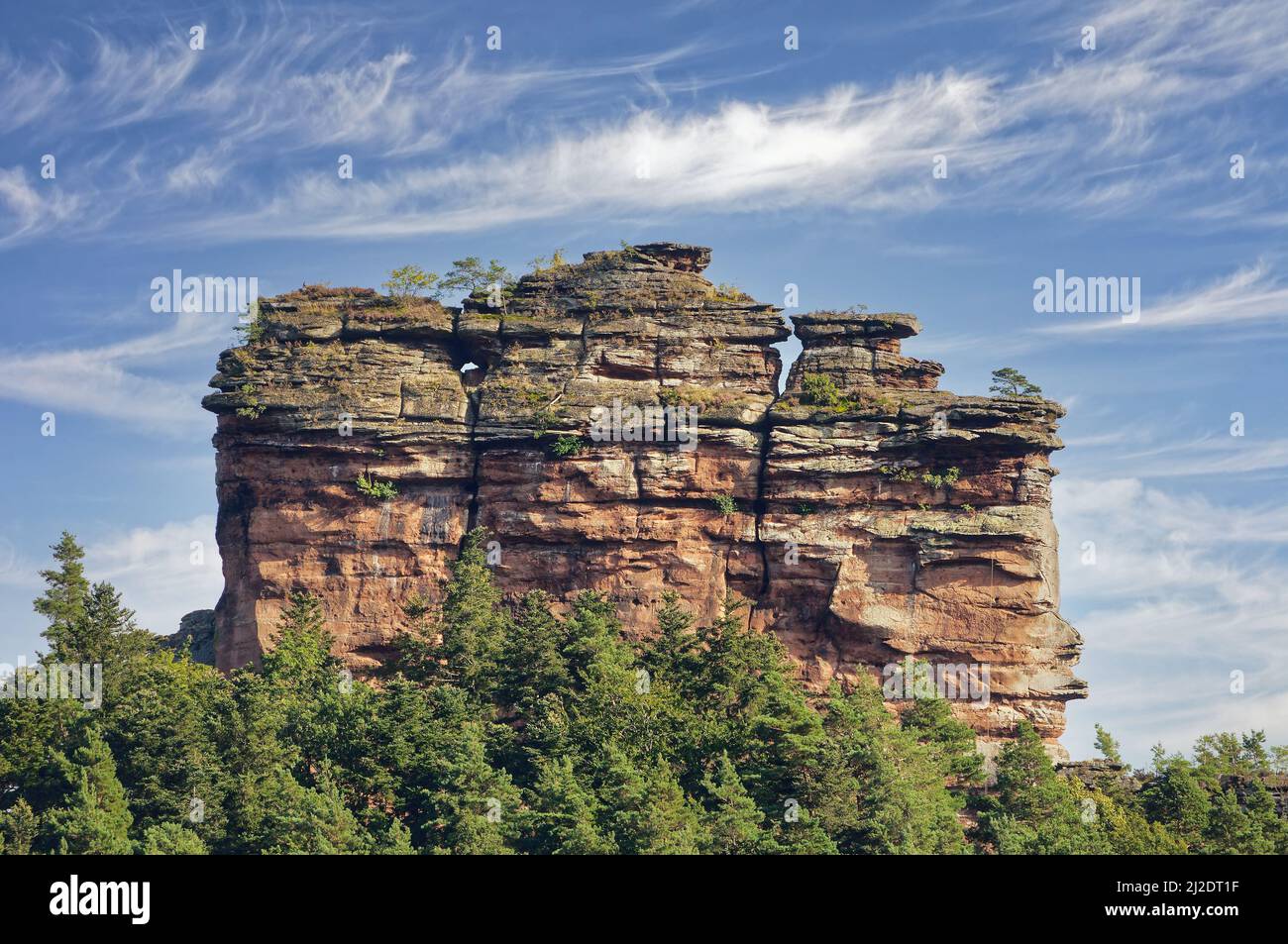 Asselstein Rock,Trifels area near Annweiler,Palatinate Wine region,Rhineland-Palatinate,Germany Stock Photo