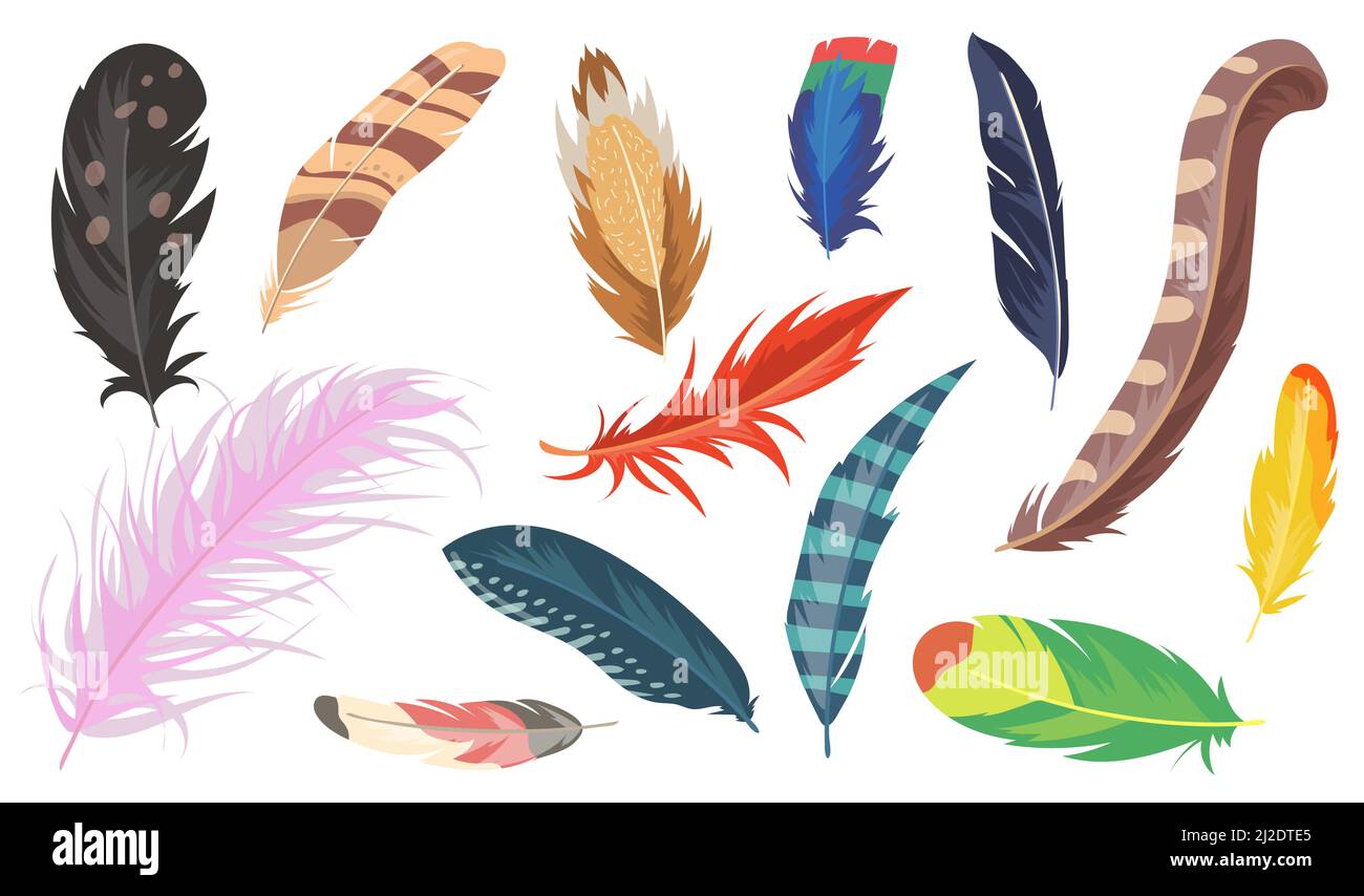 Variety of colorful feathers flat item set. Cartoon shiny ostrich, pheasant and parrot isolated vector illustration collection. Bird feather and decor Stock Vector