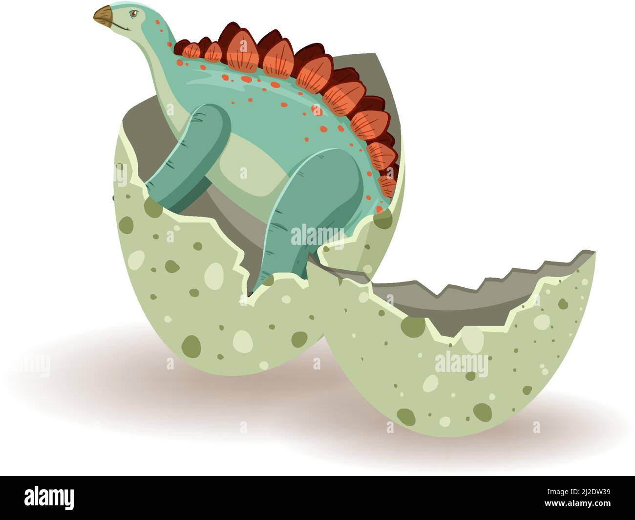 Stegosaurus hatching from egg illustration Stock Vector Image & Art - Alamy