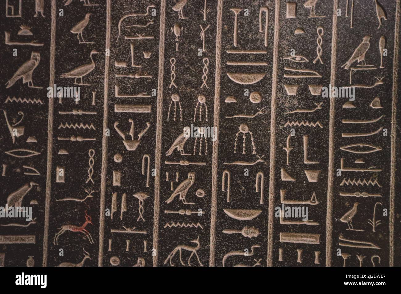 Ancient egyptian hieroglyphs seamless for background wallpaper and etc   CanStock