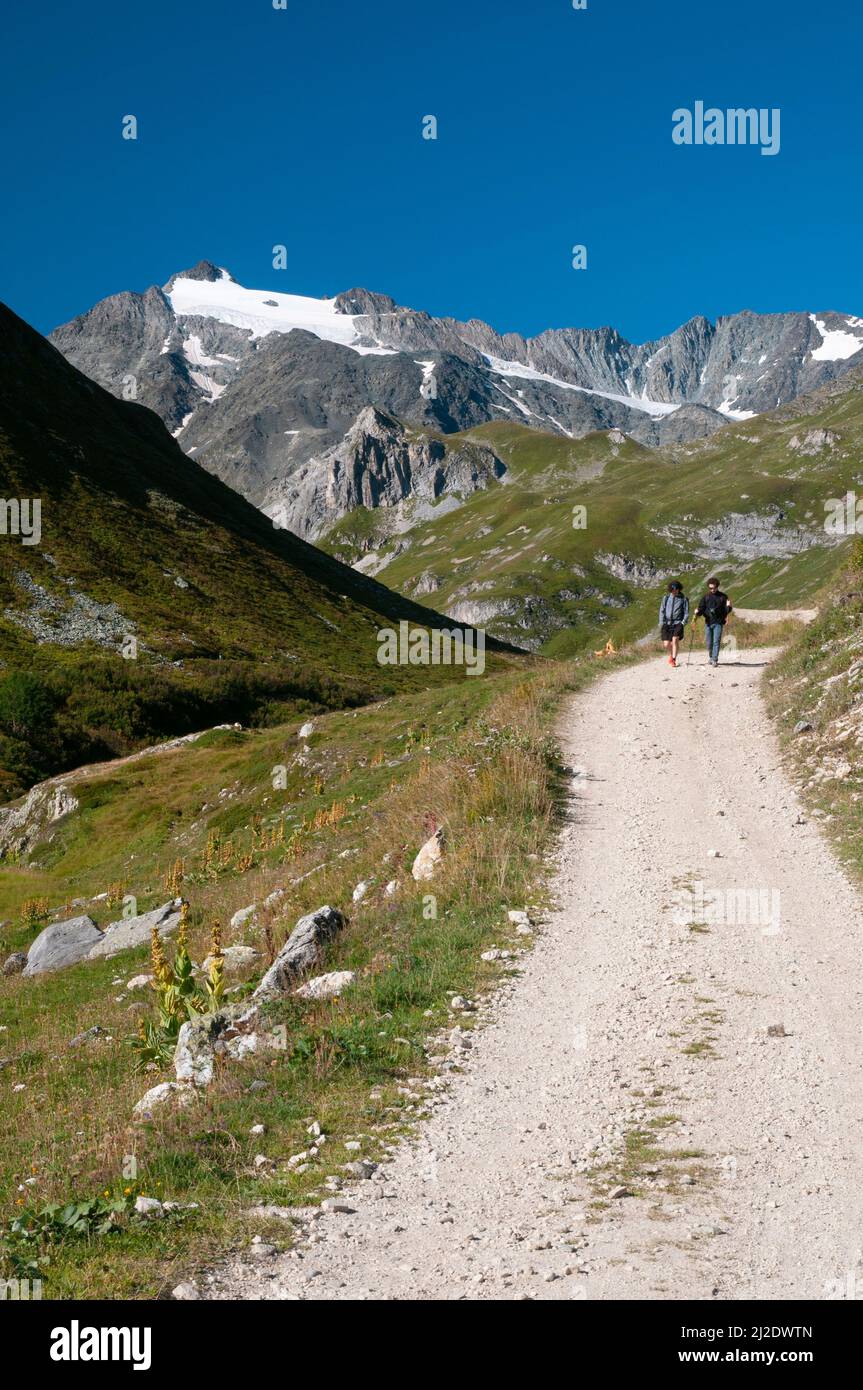 Hikers on the hiking path to Peclet-Polset refuge, Vanoise National Park, Pralognan-la-Vanoise, Savoie (73), Auvergne-Rhone-Alpes, France Stock Photo