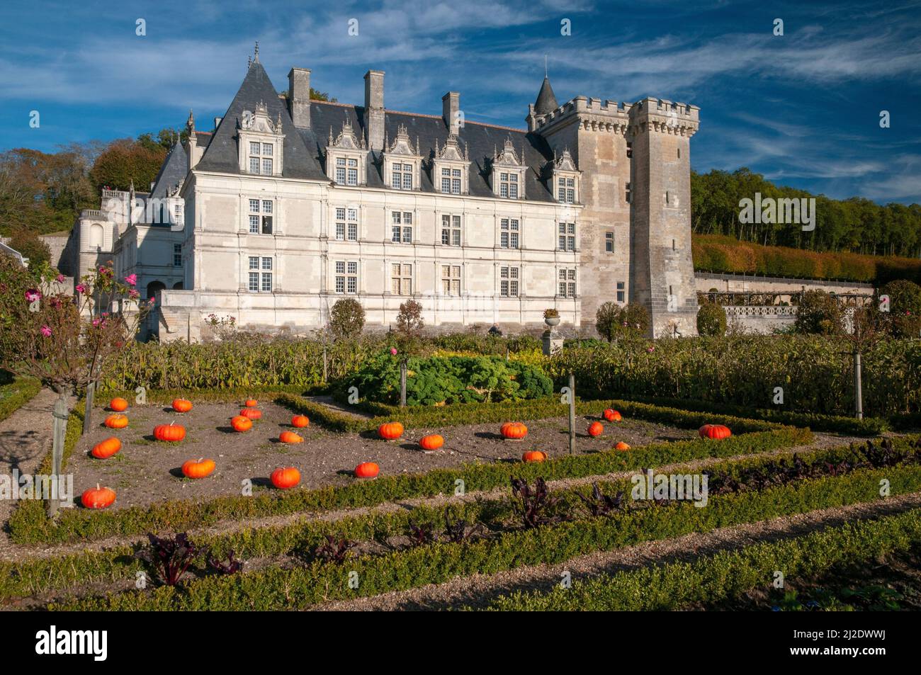 Villandry castle and gardens, Villandry, Loire-Anjou-Touraine Regional Natural Park, Loire Valley listed as UNESCO World Heritage Site, Indre et Loire Stock Photo