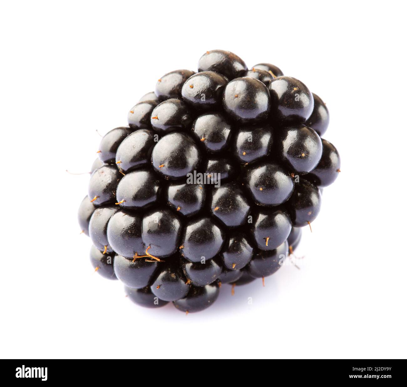 Single ripe blackberry isolated on white background Stock Photo