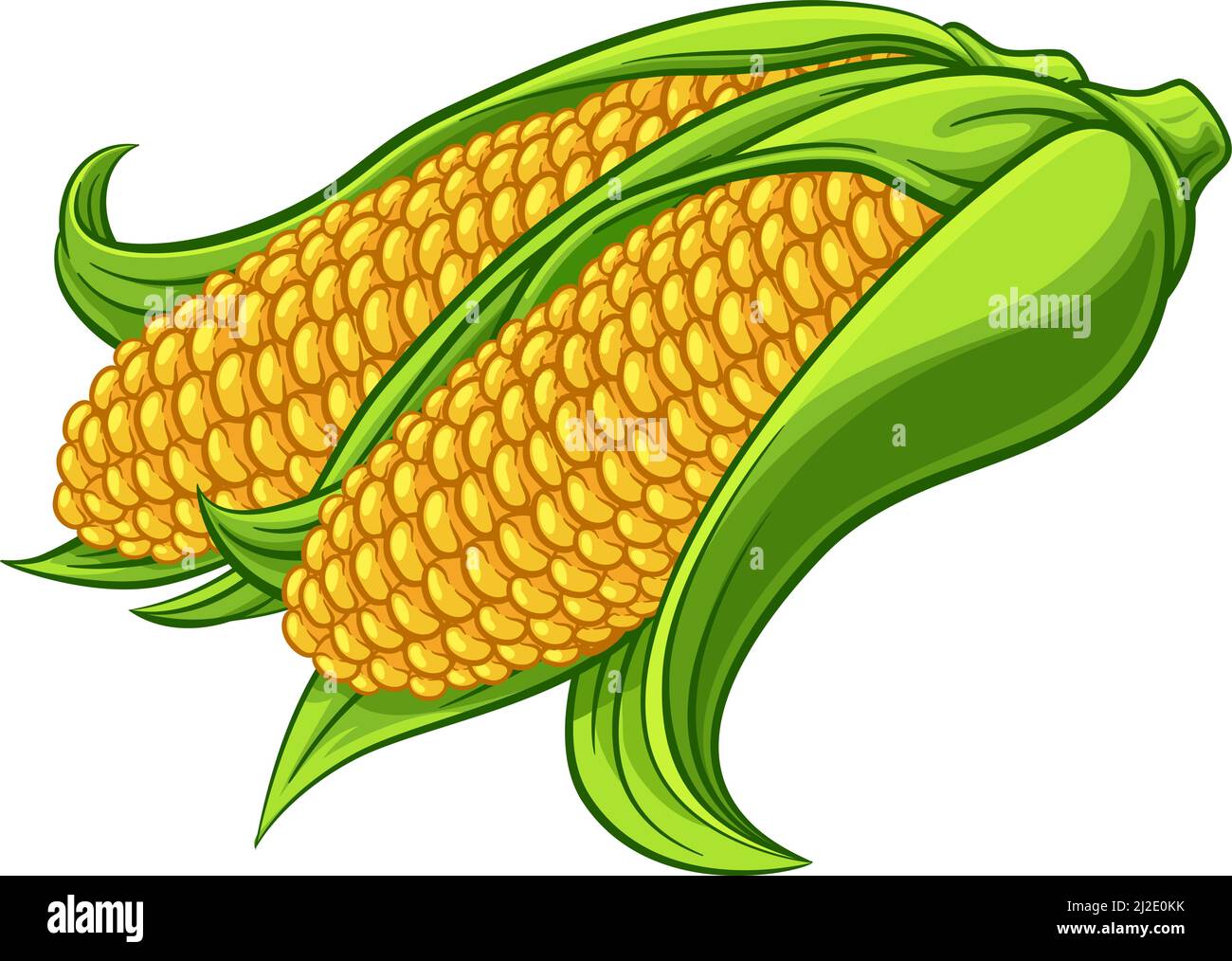 Sweet Corn Ear Maize Cob Cartoon Illustration Stock Vector Image & Art - Alamy Sweet Corn Ear Maize Cob Cartoon Illustration Stock Vector Image & Art - Alamy