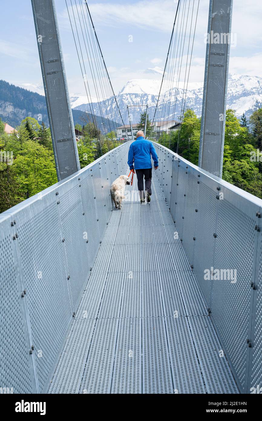 Iron footbridge, near Sigriswil, Canton Berne, Switzerland Stock Photo