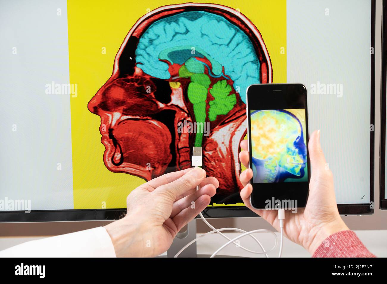 Brain connected to smartphone Stock Photo - Alamy