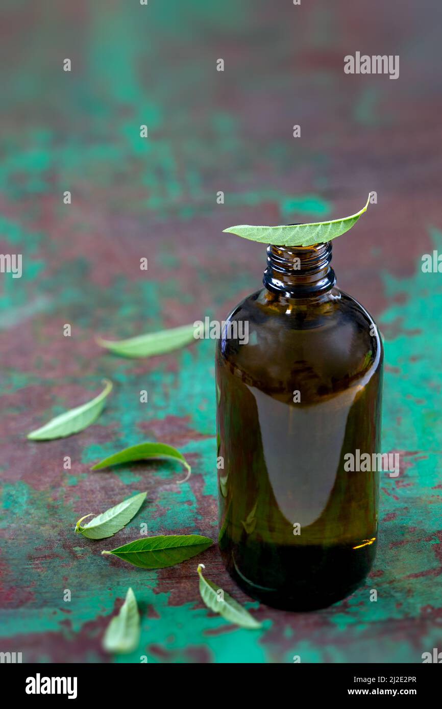 Beauty counter perfume hi res stock photography and images Alamy