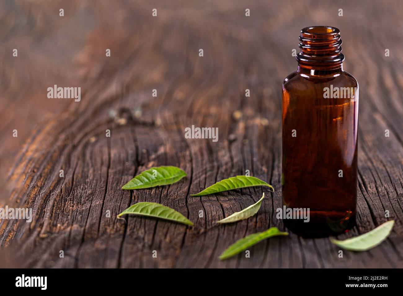 Lemon verbena essential oil bpttle and leaves on the wooden board. glass, fresh Stock Photo