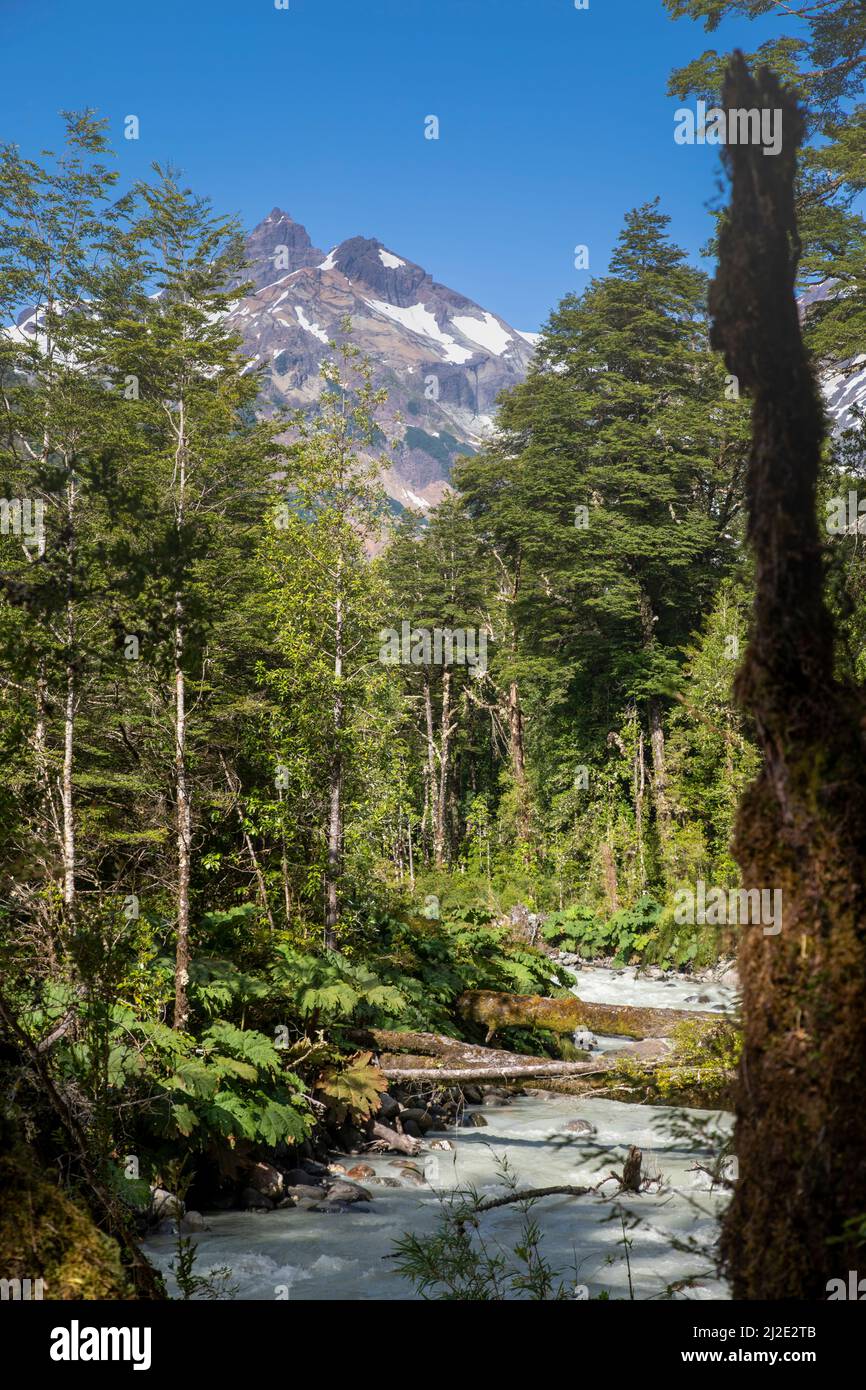 ChIle, 27-01-2020, Corcovado national park in Patagonia along the Carretera Austral just a bit south of Yelcho has a hanging glacier. Stock Photo