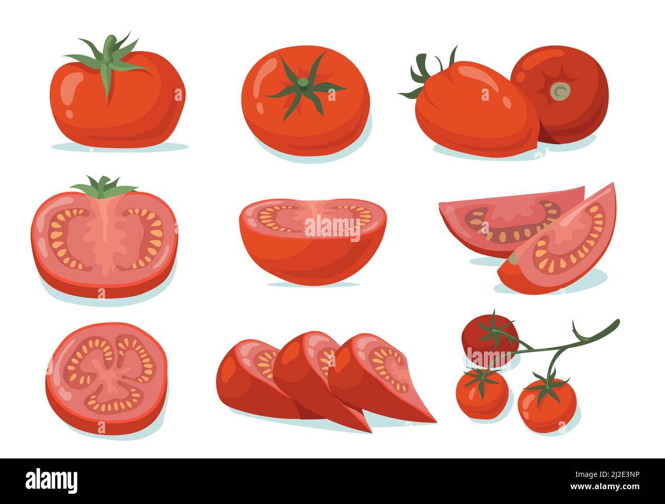 Fresh tomatoes set. Red whole and cut vegetables, halves and slices isolated on white. Vector illustration for organic food, vegetarian diet, cooking Stock Vector