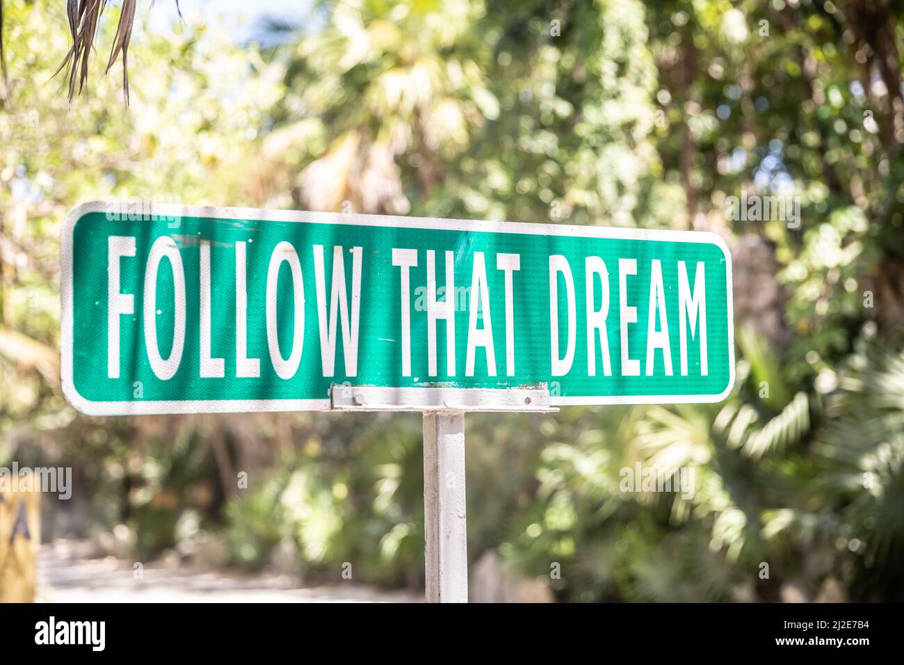 Motivational quote saying Follow That Dream on a sign next to a road in the nature. Stock Photo