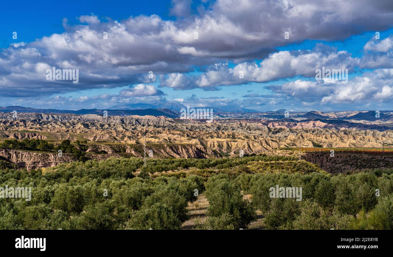 Landscape near Bacor Olivar at Embalse de Negratin reservoir lake in Sierra Nevada National Park, Granada, Andalusia in Spain Stock Photo