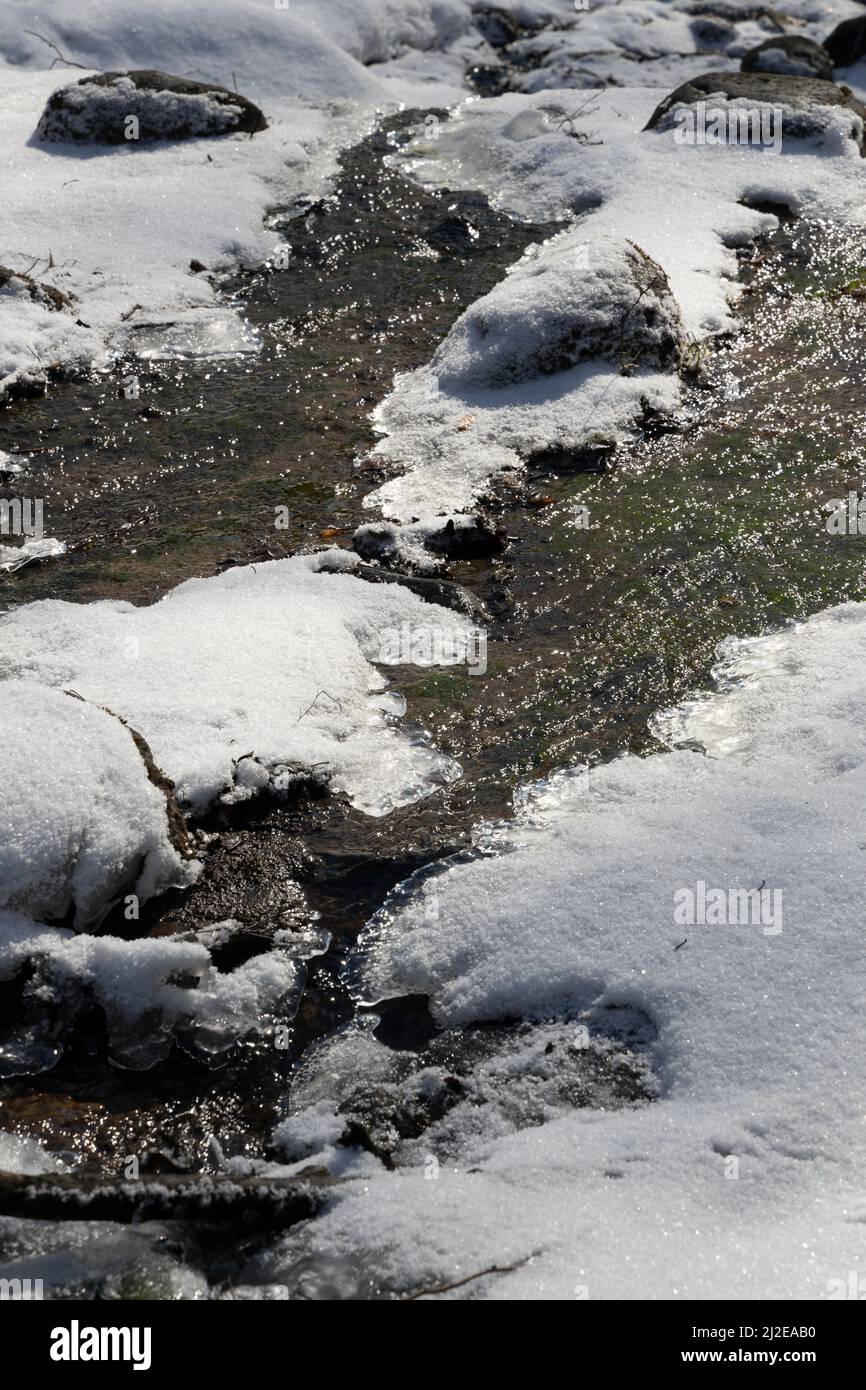 Spring stream flowing between the snows vertical orientation Stock Photo