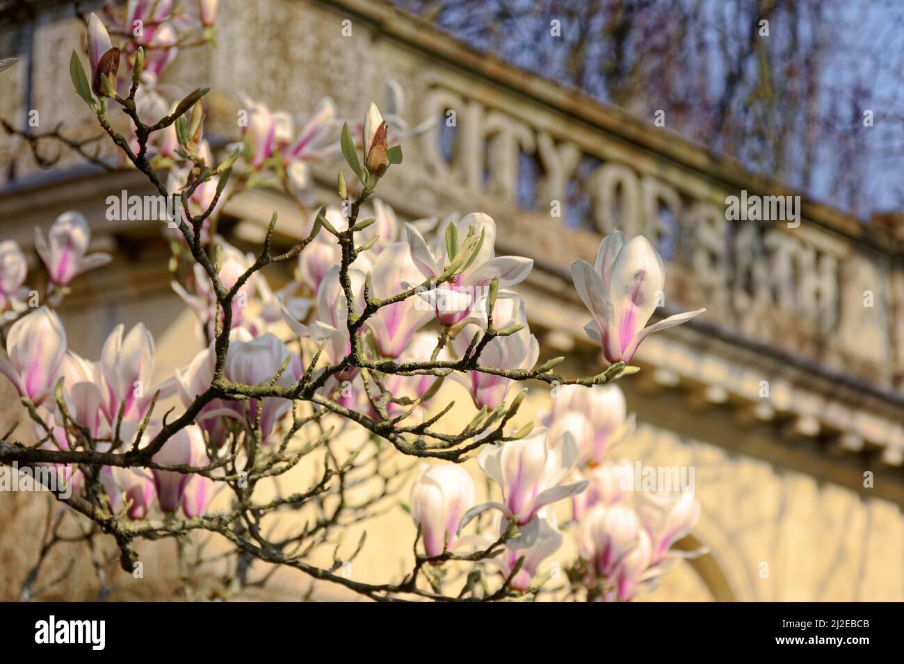 Spring in Bath Stock Photo - Alamy