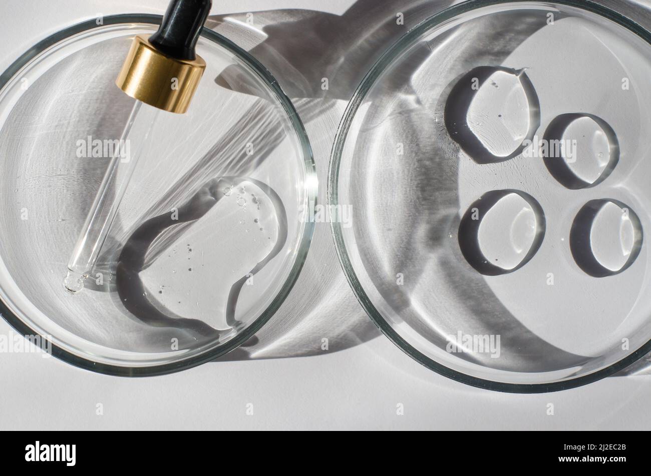 Laboratory research. Liquid in a Petri dish. Transparent gel and