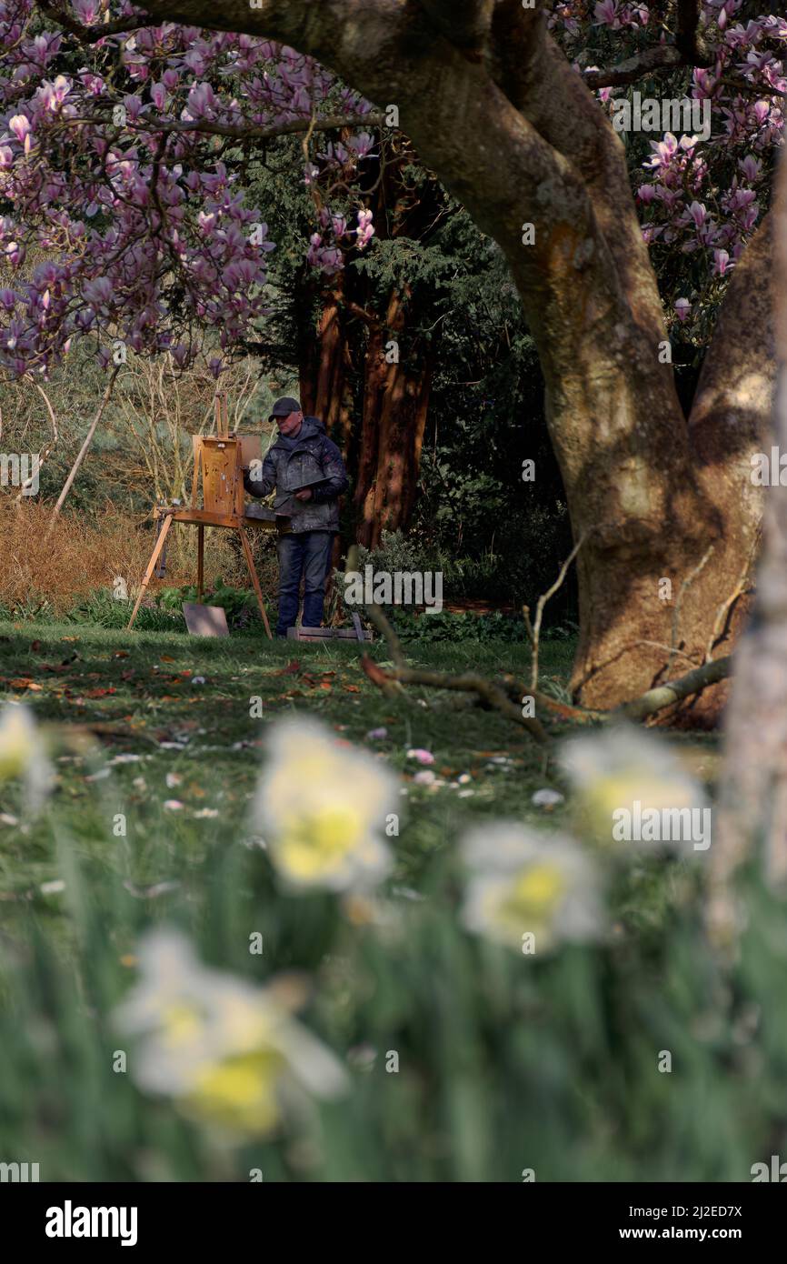 Spring in Bath Stock Photo - Alamy