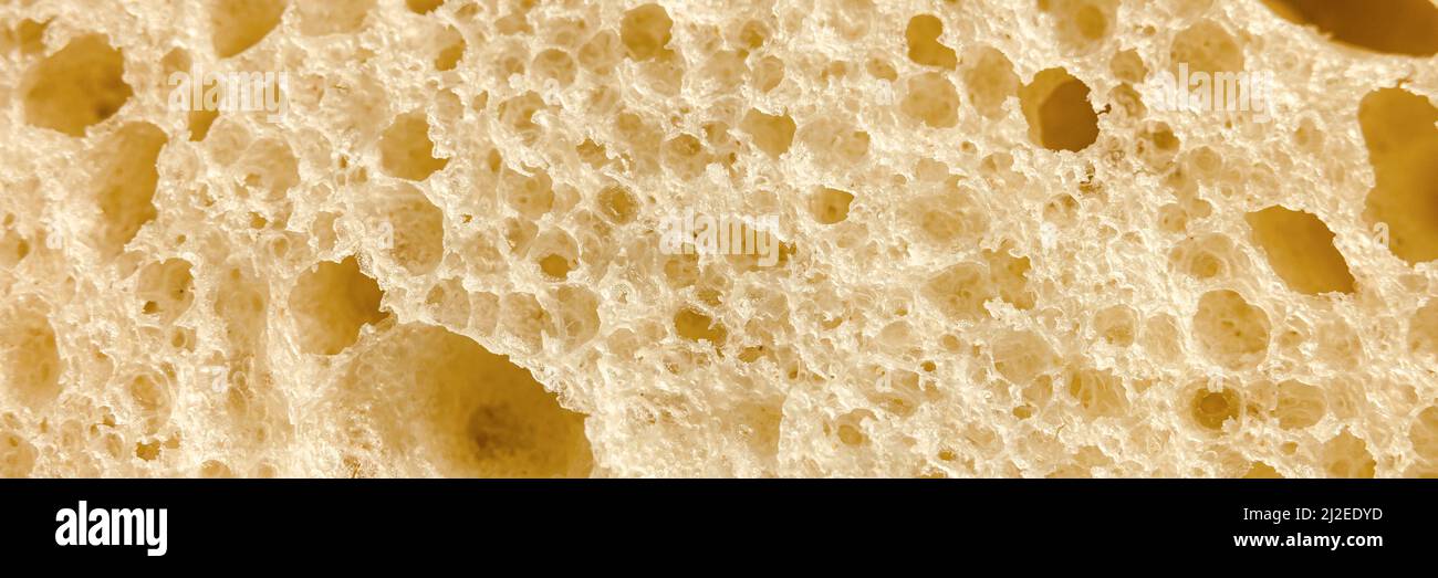 texture of white bread as a close up background. backdrop of rough