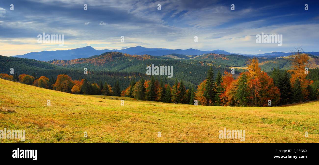 the mountain autumn landscape with colorful forest Stock Photo - Alamy