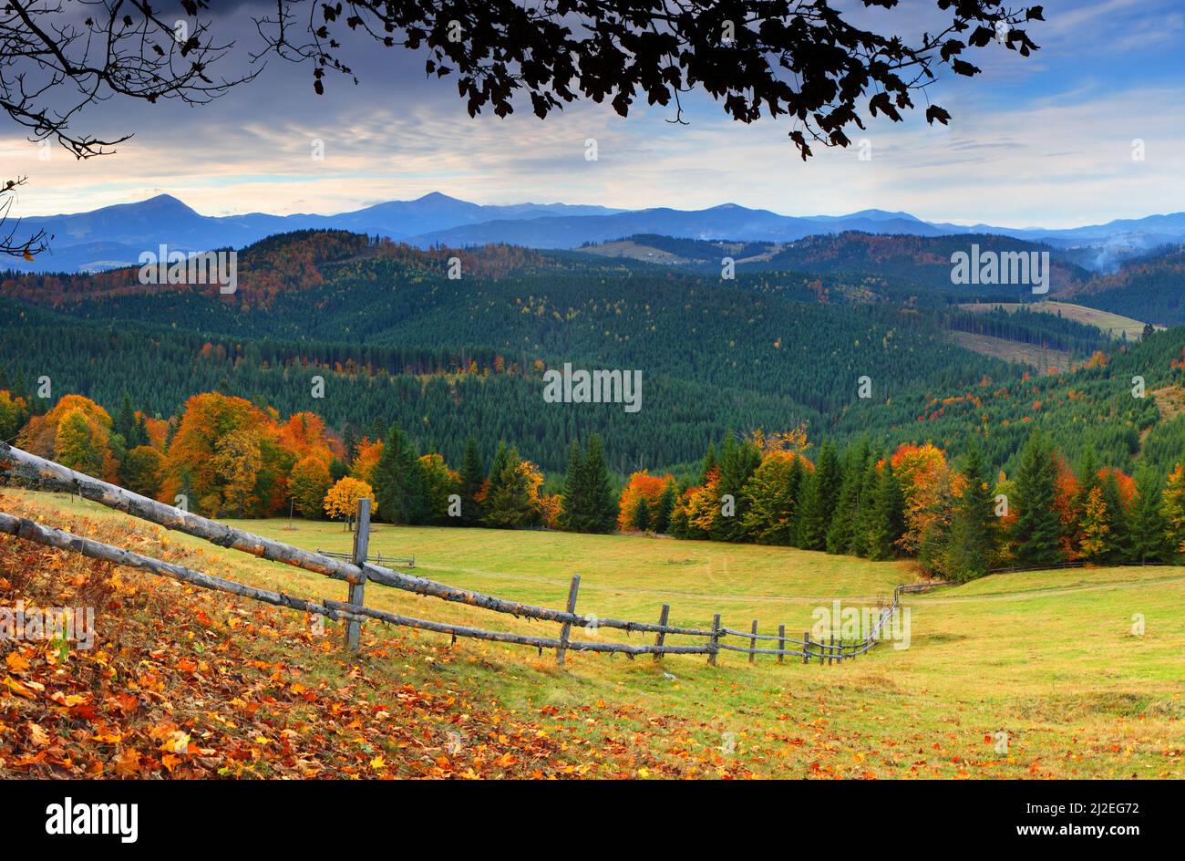 the mountain autumn landscape with colorful forest Stock Photo - Alamy