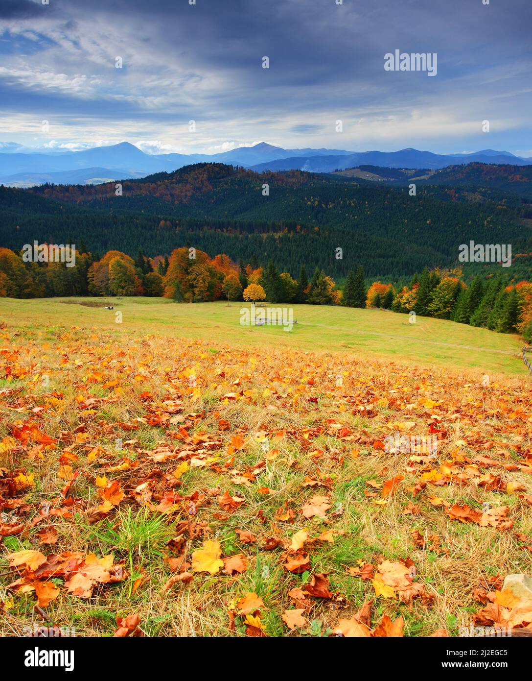 the mountain autumn landscape with colorful forest Stock Photo - Alamy