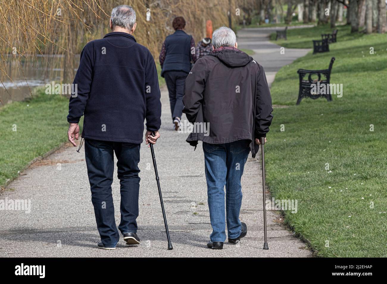 Two mature men walking with the aid of walking sticks in Trenance Gardens in Newquay in Cornwall in the UK. Stock Photo