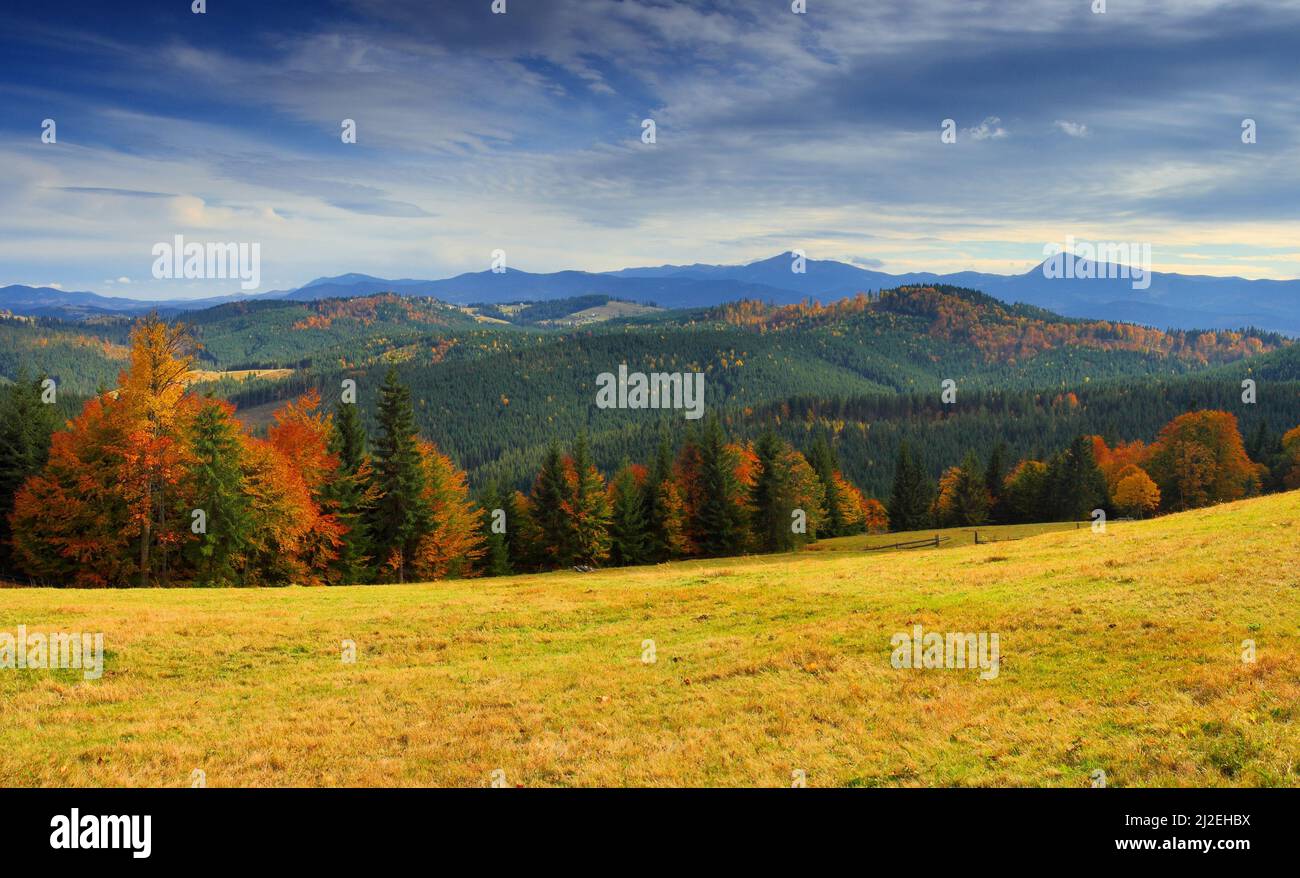the mountain autumn landscape with colorful forest Stock Photo - Alamy