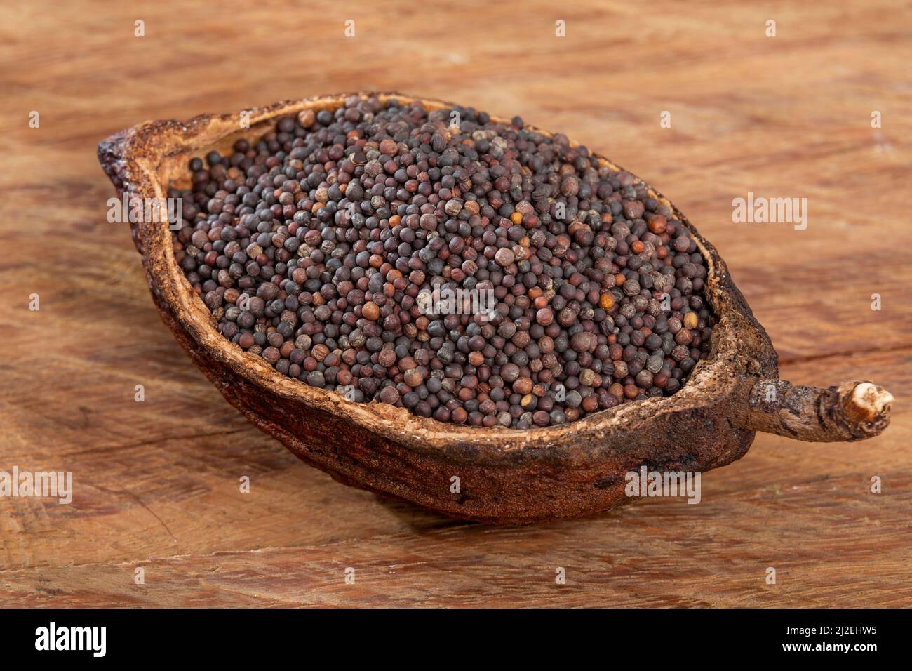 Brassica Nigra Black Mustard Seeds Or Ajenabe Stock Photo Alamy