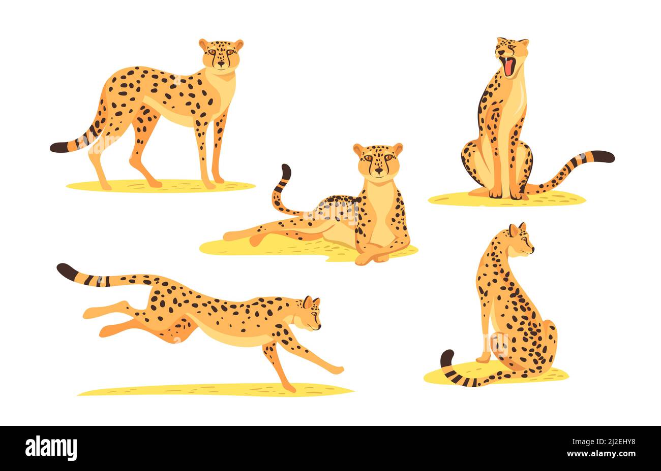 Cartoon leopard set. Wild jaguar, cheetah cat standing, lying, sitting, running, jumping isolated on white. Vector illustration for jungle animal, wil Stock Vector