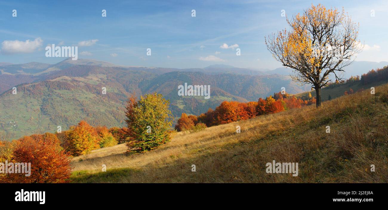 the mountain autumn landscape with colorful forest Stock Photo - Alamy