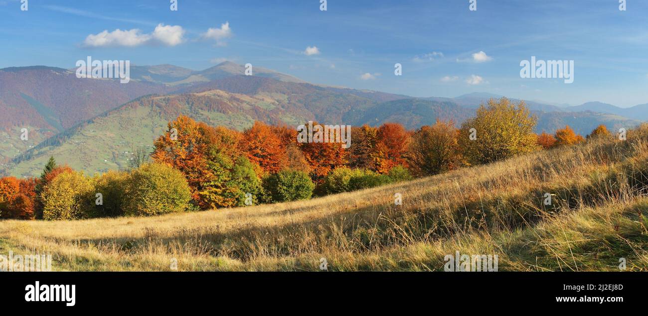the mountain autumn landscape with colorful forest Stock Photo - Alamy