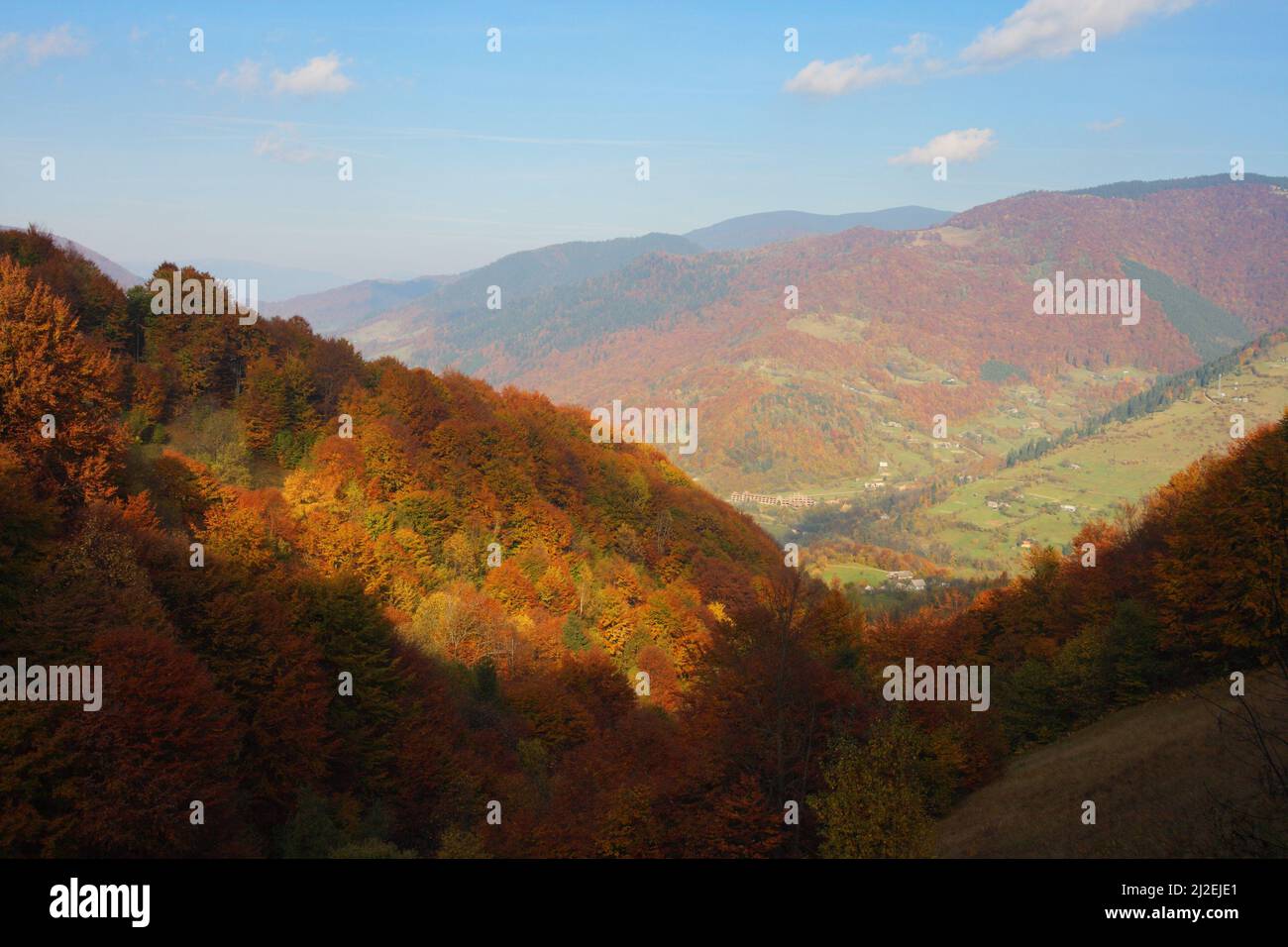the mountain autumn landscape with colorful forest Stock Photo - Alamy