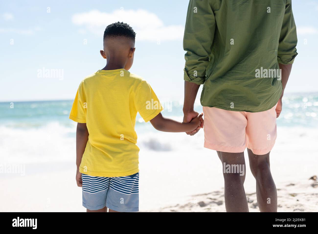 Rear view of african american boy holding hand of father while standing ...